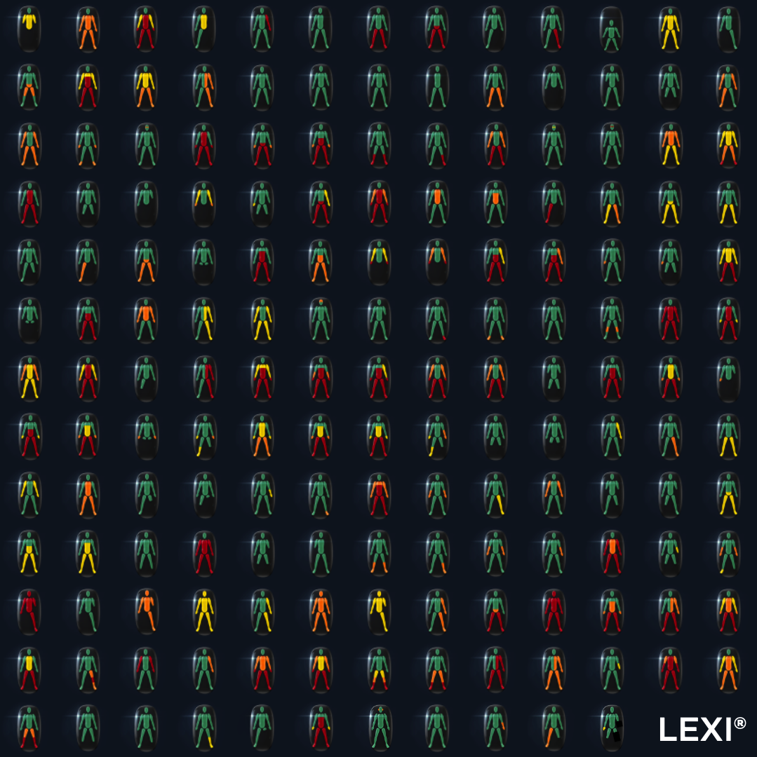 Le catalogue des icônes LEXI