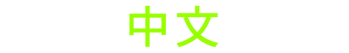 中文
