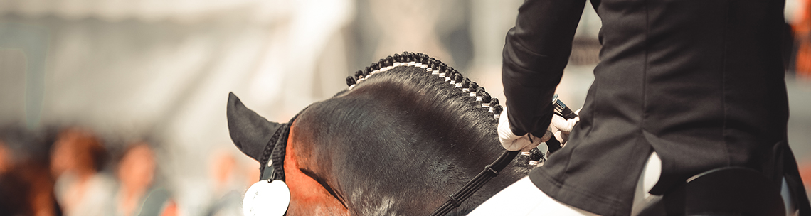 Equestrian stock image